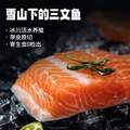 泰明揚 新疆三文魚（虹鱒） 可生食 去皮整塊中段 400g*3盒