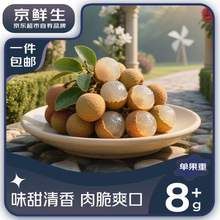 京鮮生 廣東龍眼凈重3斤裝 單果8g+